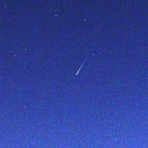 蛇遣い座　２の１