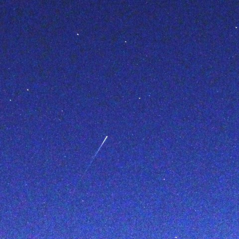 蛇遣い座　２の２