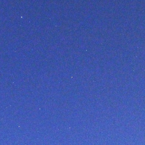 白鳥座新星？～極短流星