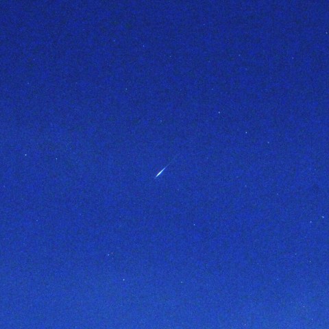 白鳥座～琴座流星群