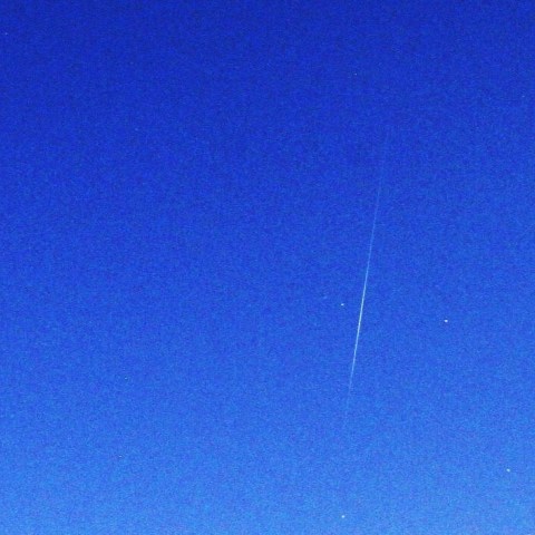 カラスに飛び込み