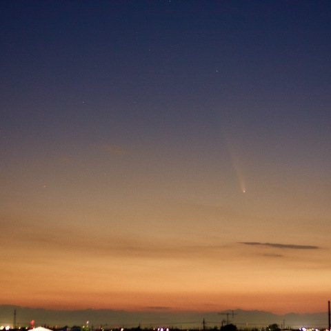 紫金山・アトラス彗星