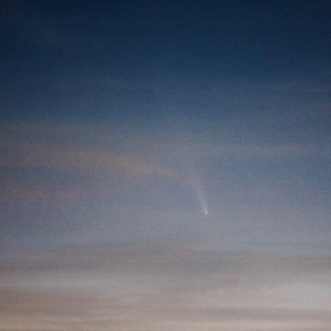 紫金山・アトラス彗星