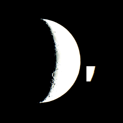 うお座μ星の食（出現後）