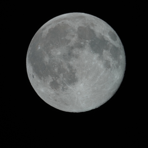 １月の満月（月齢15.7）