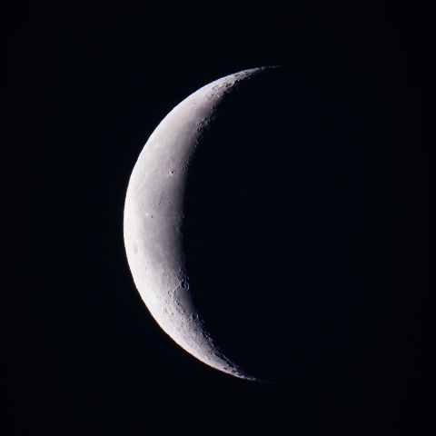 今朝の月（月齢25.6）