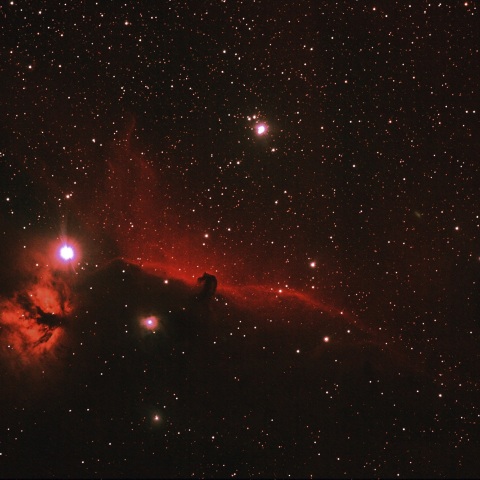 IC434 NGC2024