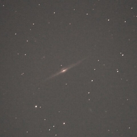 NGC4565