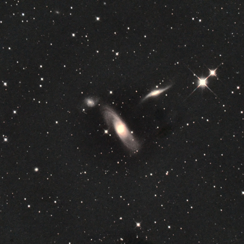 NGC5566
