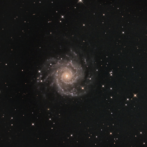 M74