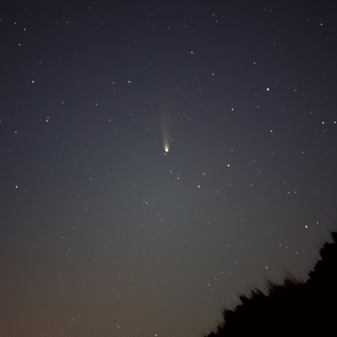 レモン彗星 11/2