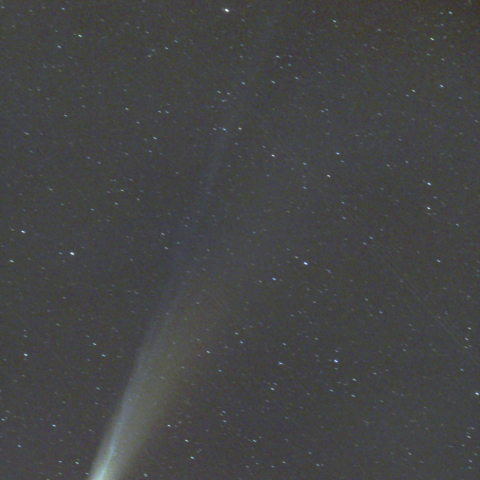 レモン彗星　11/2