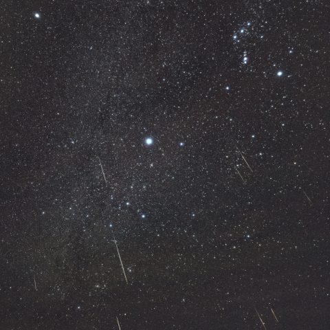 ふたご座流星群とカノープス