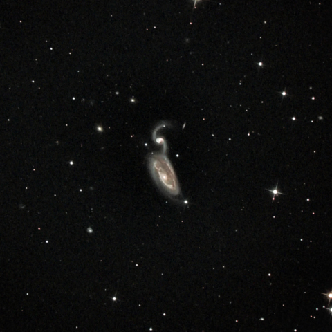 ARP84（ NGC5394,5 サギ銀河 りょうけん座）