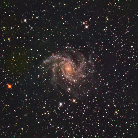NGC6946 （花火銀河 ケフェウス座）