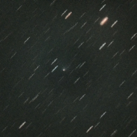 10P テンペル第２彗星 6/14