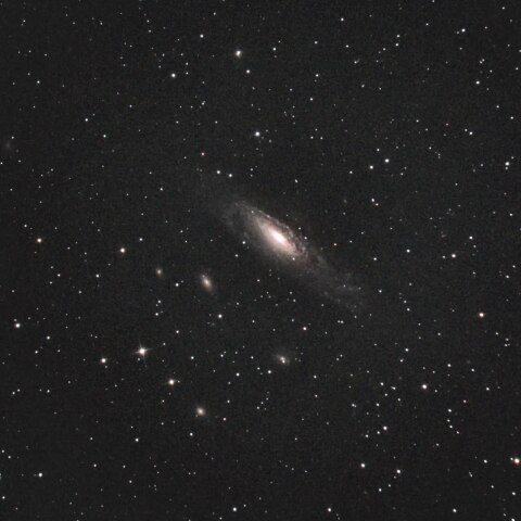 NGC7331