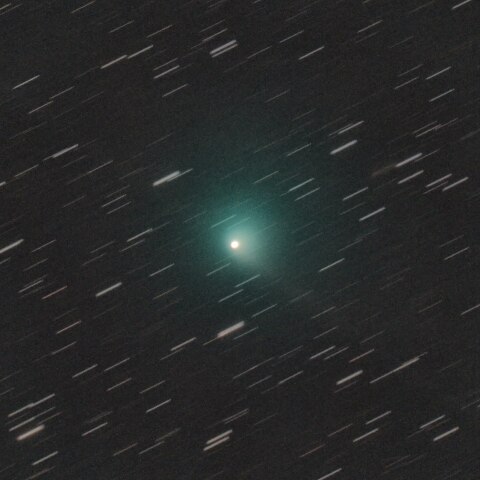 10P テンペル第２彗星 7/24