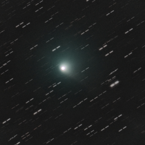 10P テンペル第２彗星 8/7
