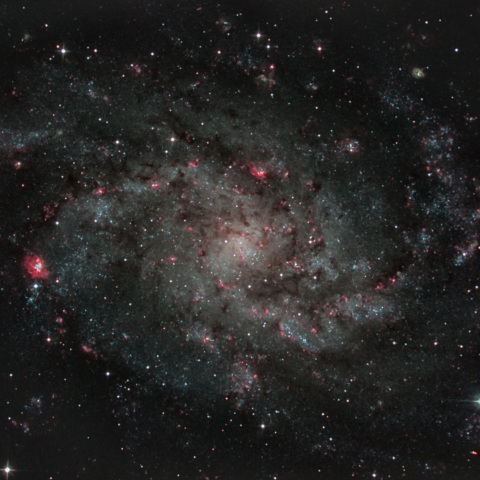 M33
