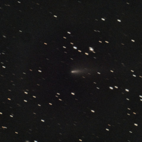 220P マクノート彗星 10/17