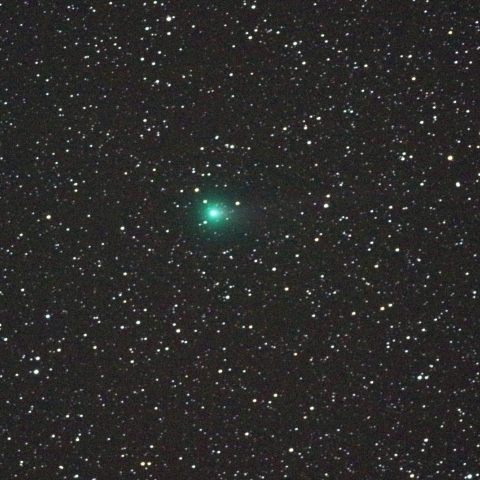 ラブジョイ彗星