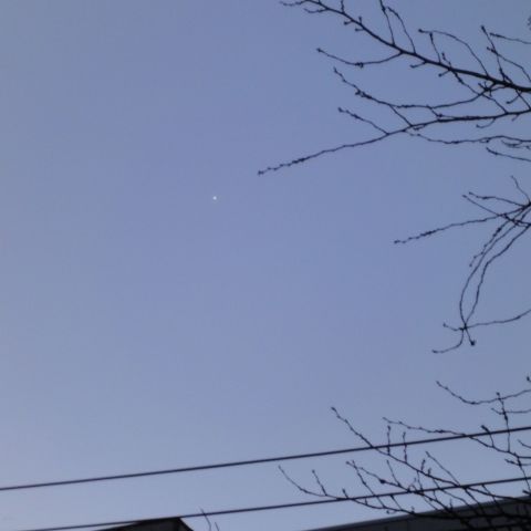 南の空に輝く明けの明星(金星）