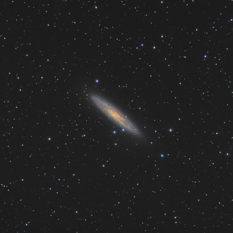 NGC253