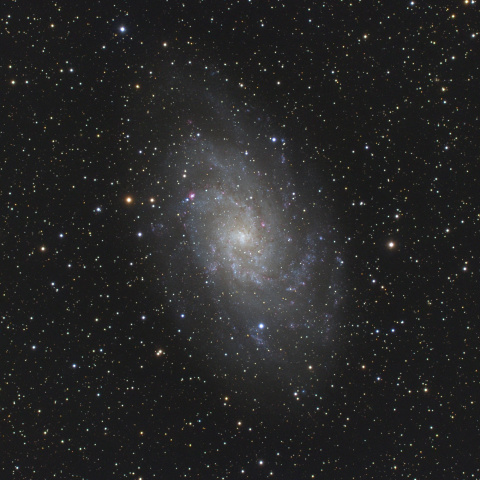 M33