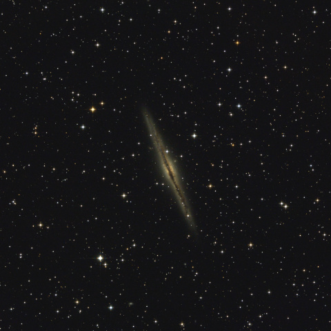 NGC891