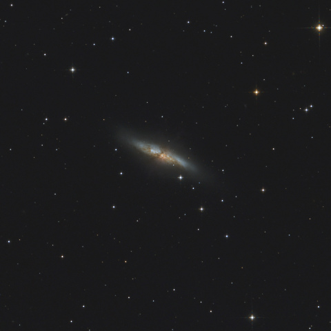 M82