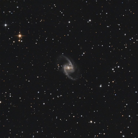NGC1365