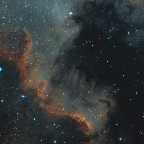 NGC7000 北アメリカ星雲