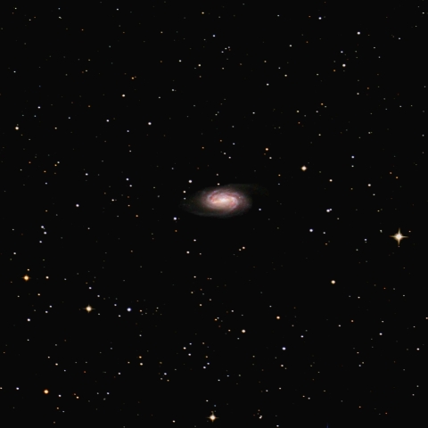 棒渦巻銀河NGC2903