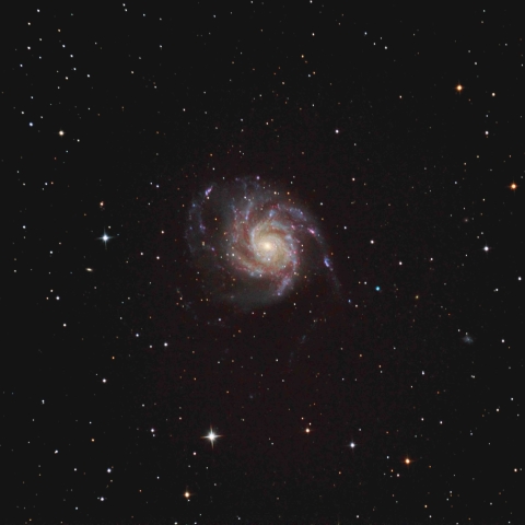 M101
