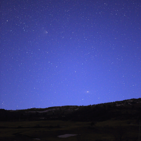 COMET PAN-STARRS and M31
