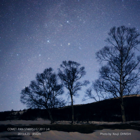 去り行くパンスターズ彗星