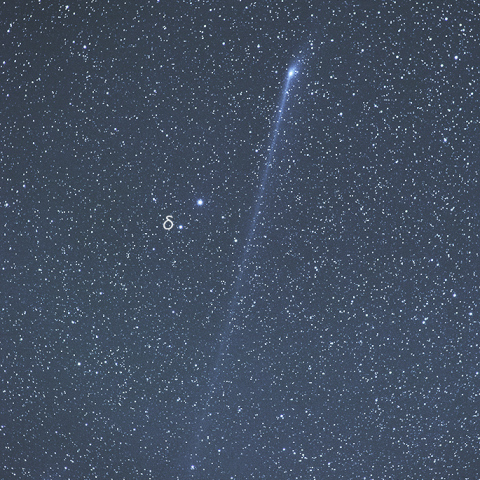 北極星の近くの長いアンチテールのパンスターズ彗星