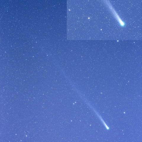 ラブジョイ彗星のイオンの尾の擾乱