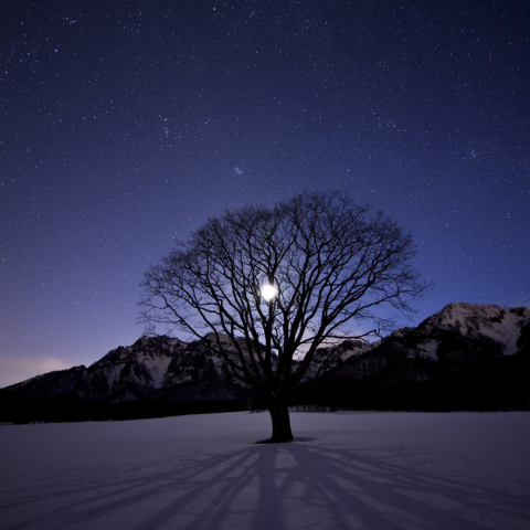 Waiting for Spring,  Pleiades and Crescent 