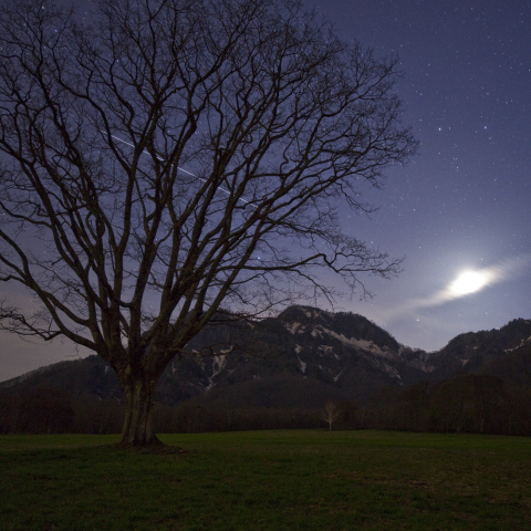 春の目覚めとＩＳＳ