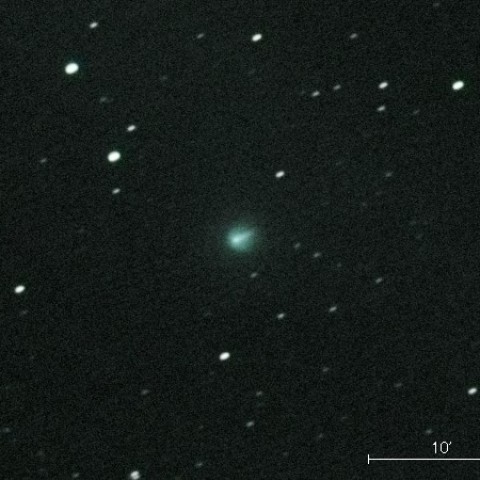 池谷・村上彗星