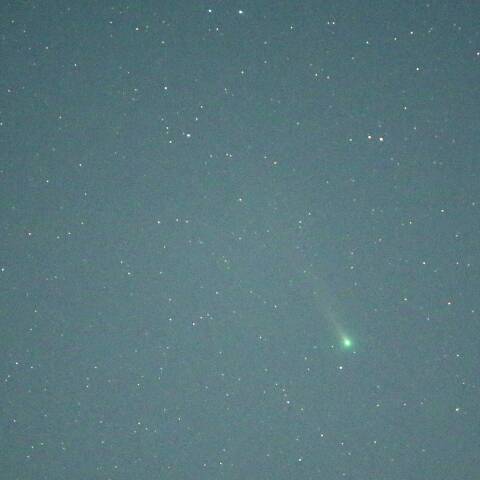 １２月１１日のレナード彗星