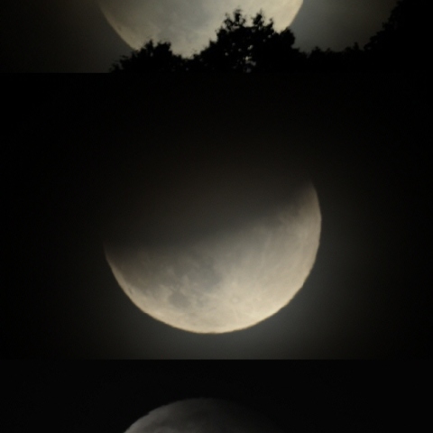 2010年6月26日部分月食