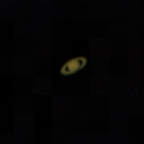 東京都内自宅2Fベランダにて