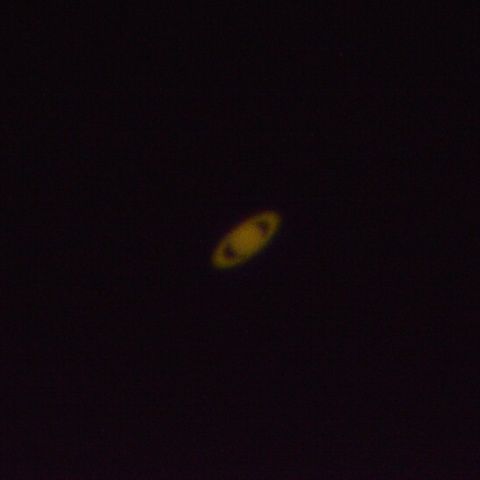 東京都内自宅2Fベランダにて