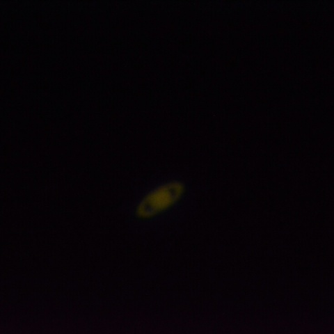 東京都内自宅2Fベランダにて