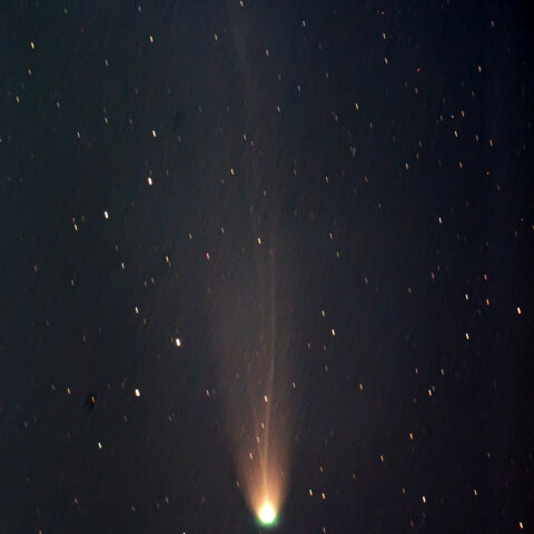 宵の口のレナード彗星 (12/28)