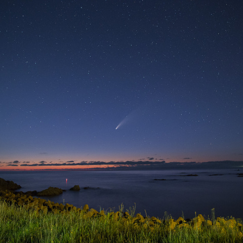 彗星 NEOWISE (C/2020 F3)