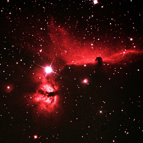 NGC2024  　馬頭星雲　2024  1/30